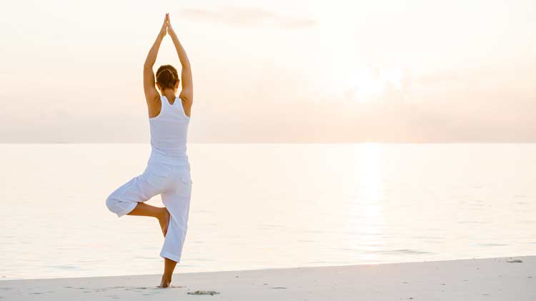 Voir la sélection de cours de yoga en ligne Le chemin Yoga